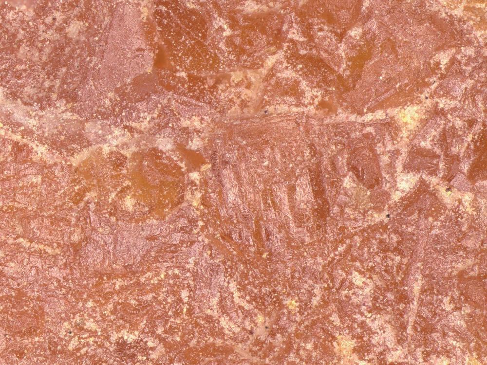 Eglestonite